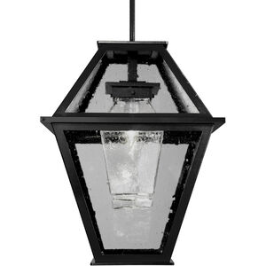 Terrace 1 Light 16.8 inch Textured Black Outdoor Pendant in E26 Incandescent, Clear Seeded